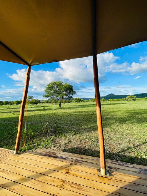 Signature Serengeti Luxury Tented Safari Camp Updated 2024 Campground