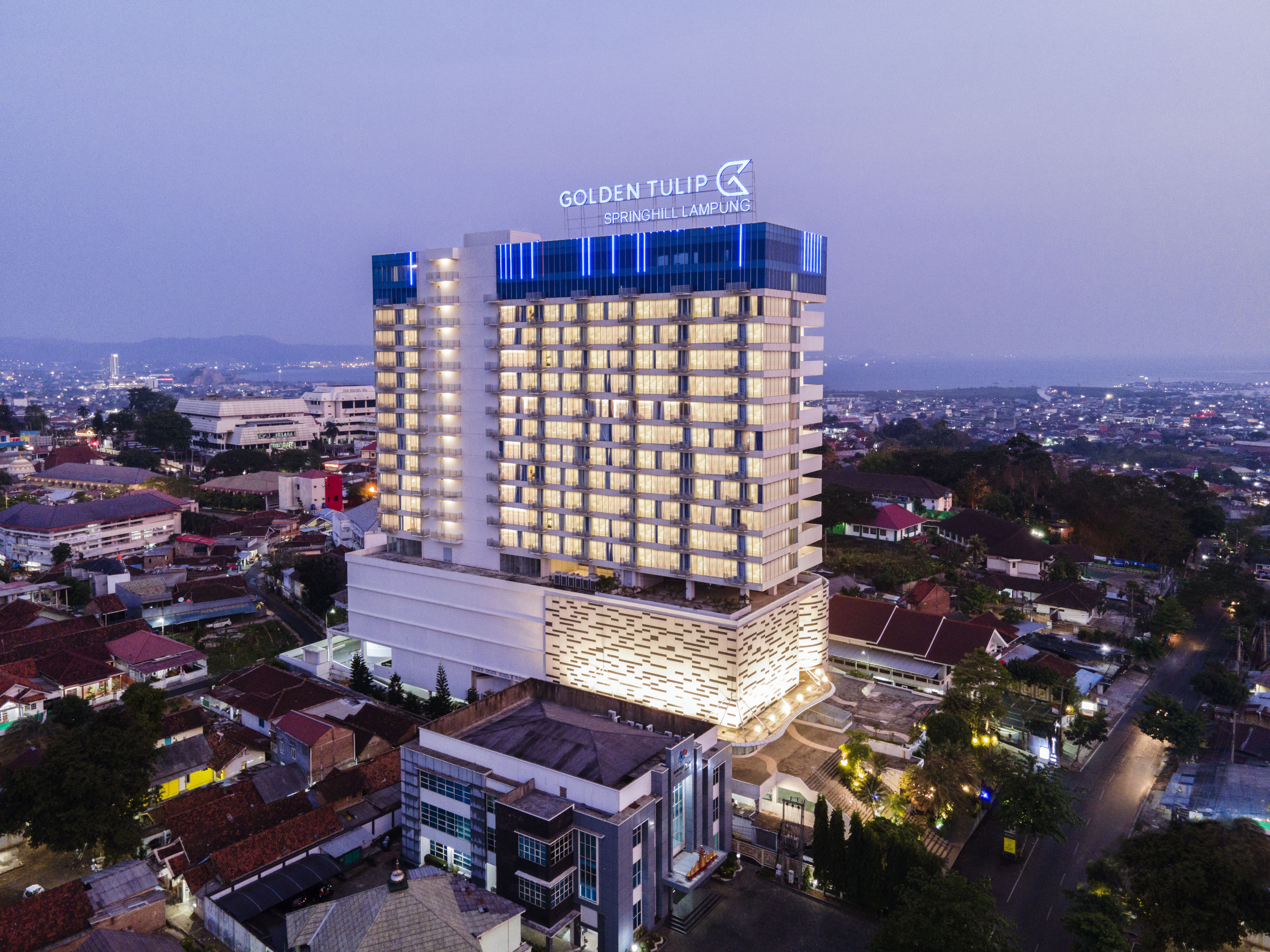 Golden tulip discount