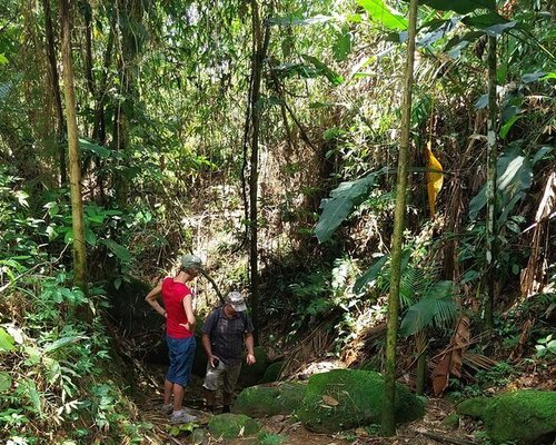 Excursão de 2 horas a pé da histórica cidade de Paraty, Brasil: experiência  oferecida por Paraty Explorer - Tripadvisor