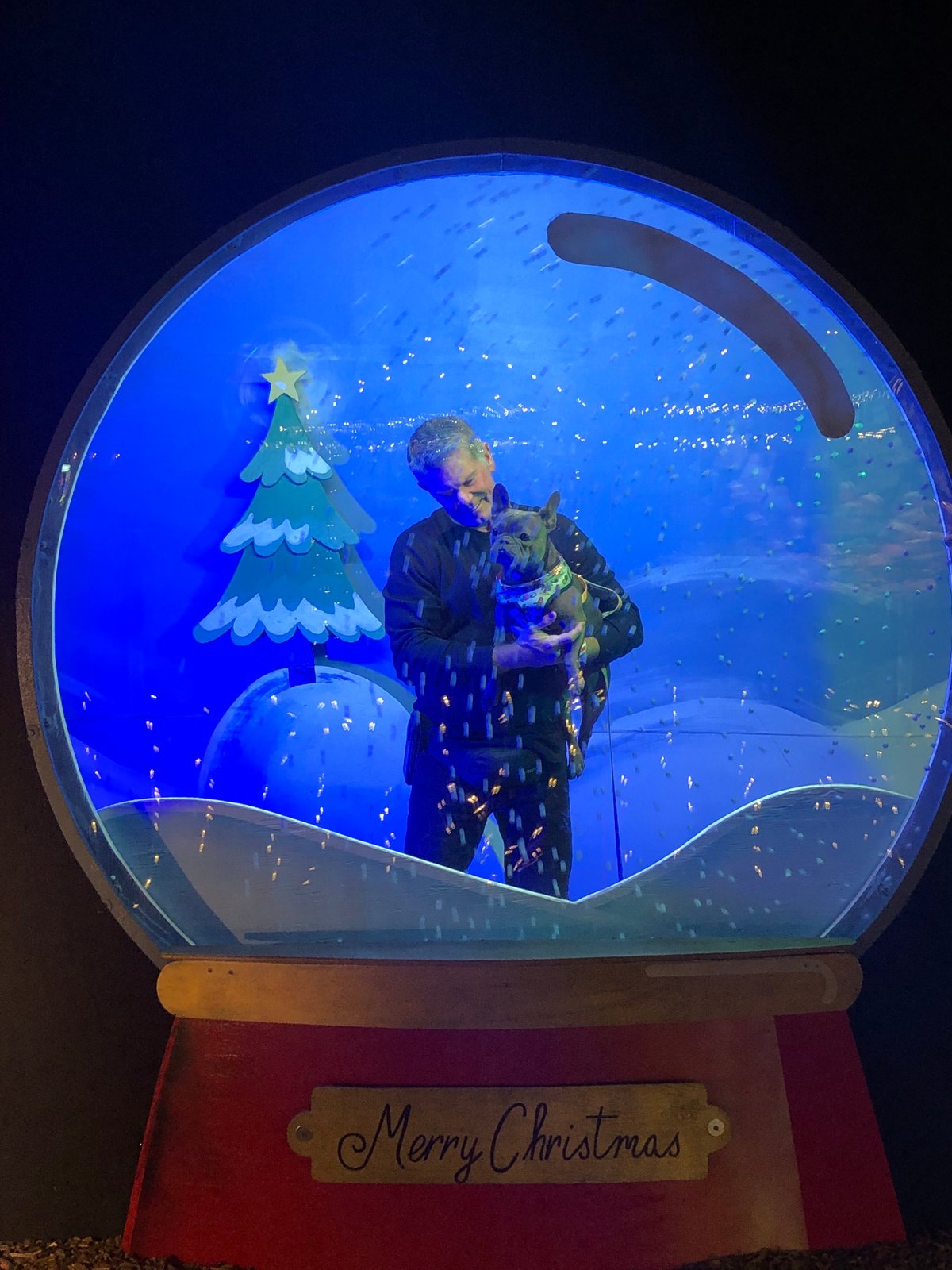 Cambria Christmas Market (2025) All You Need to Know BEFORE You Go (with Reviews)