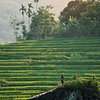 EcoTravel - Go Green Vietnam