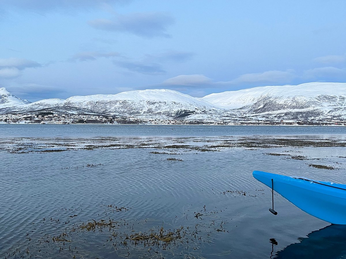 Deep sea fishing - Sommarøy Adventure