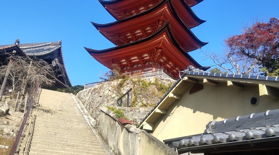 いい写真が撮れました。。。