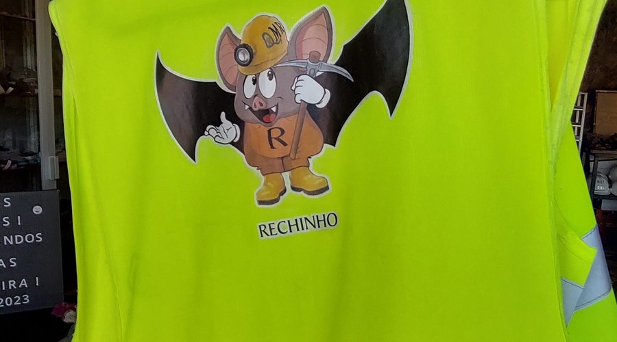 Nossa mascote: Rechinho, o morceguinho das minas
