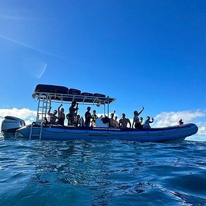 molokini snorkel tours from kihei
