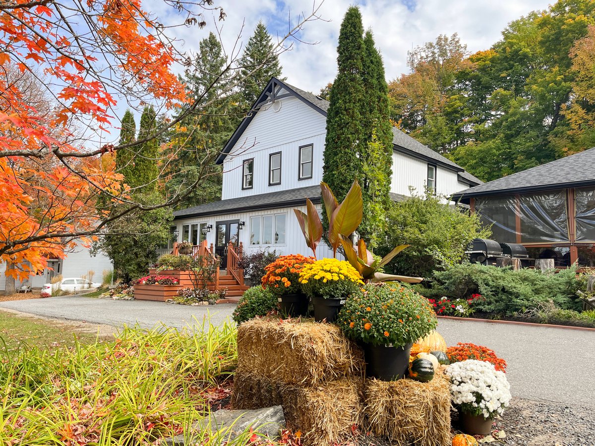 Tall Trees Muskoka, Хантсвилл - фото ресторана - Tripadvisor