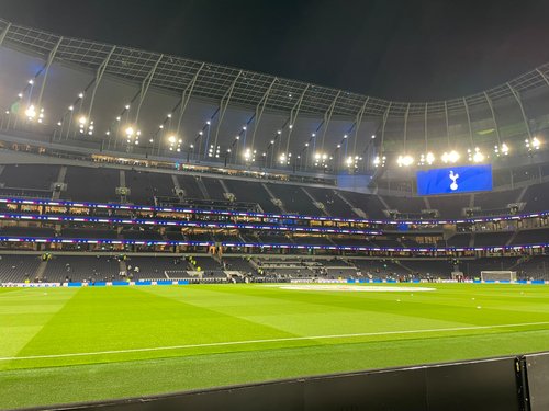 Torcida do Luton Town leva cachorro para assistir o jogo contra o Tottenham  : r/futebol