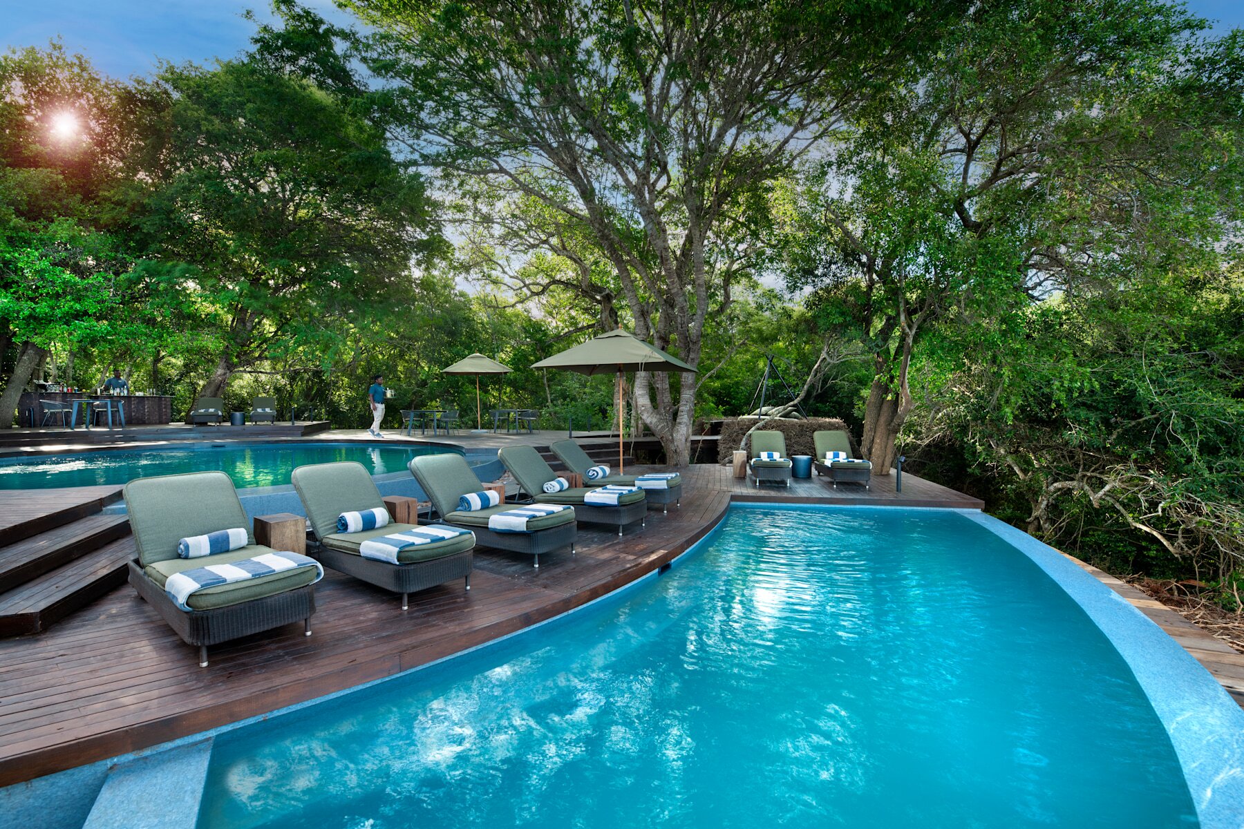 andBeyond Phinda Forest Lodge, Phinda Private Game Reserve - Luxury Safari Lodges In South Africa