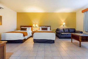 Habitación y suite