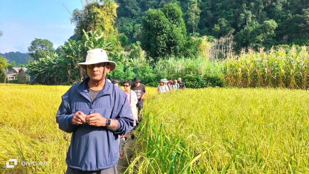 Travel Agent Hanoi, Ханой: лучшие советы перед посещением - Tripadvisor