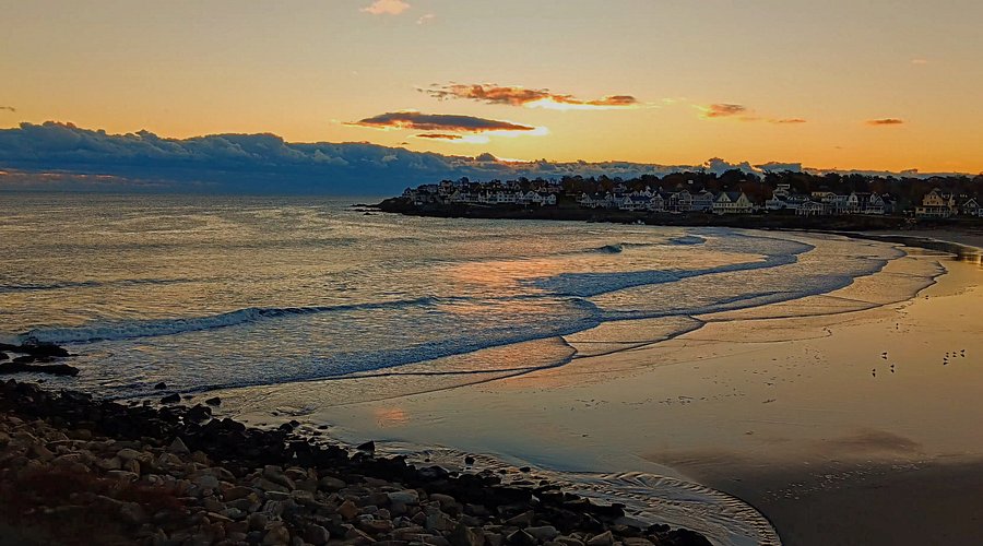 Maine Shore Shorts Maine Shore Shorts