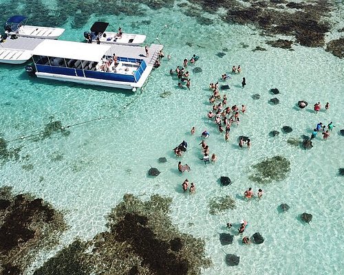 Barbuda la spiaggia +39 dalle conchiglie giganti. - Picture of Antigua + 39  Tour - Day Tours - Tripadvisor
