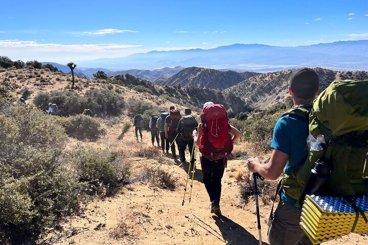 Joshua tree guided on sale hikes