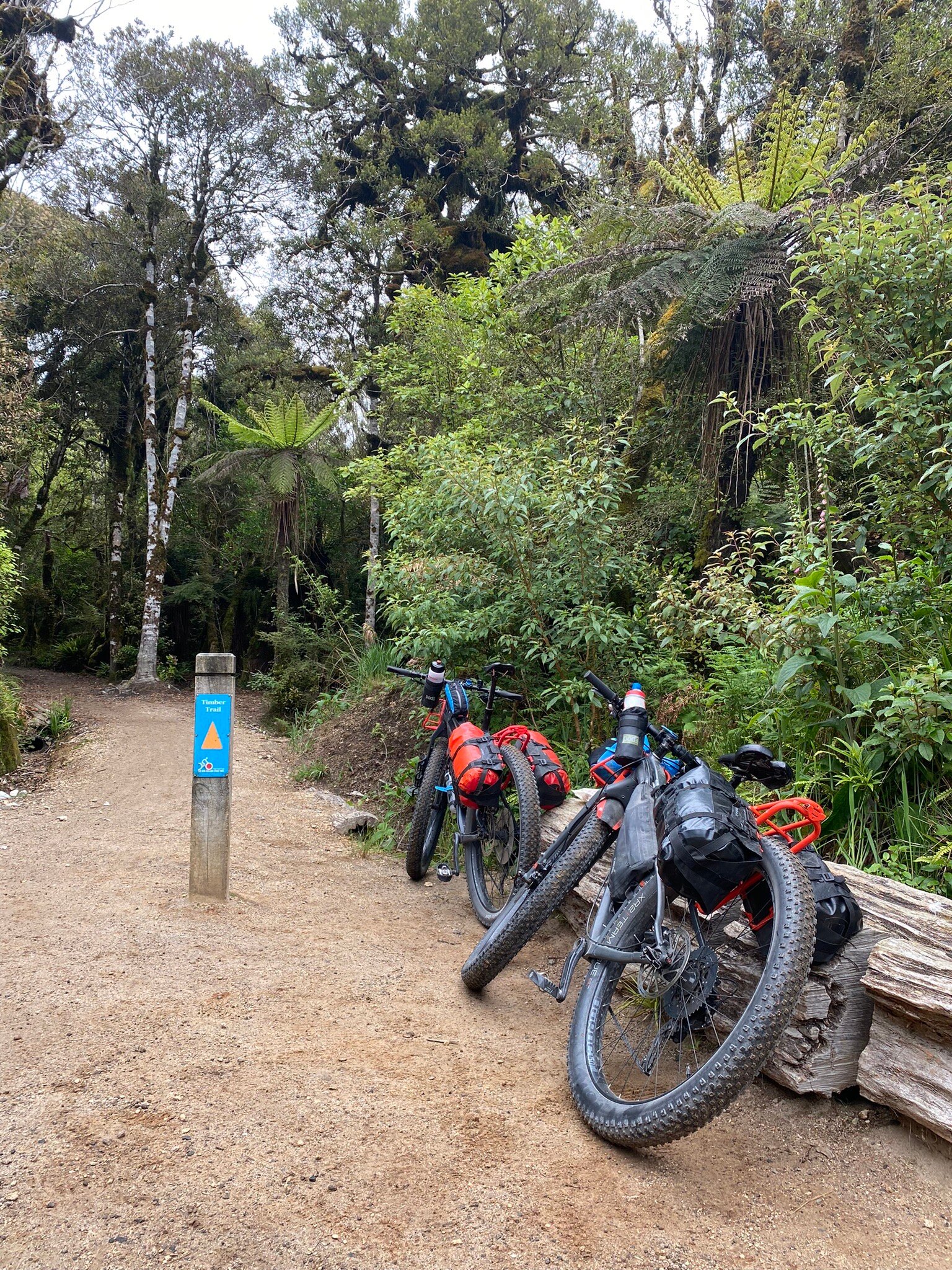 TIMBER TRAIL SHUTTLE BIKE HIRE Ongarue All You Need to Know BEFORE You Go