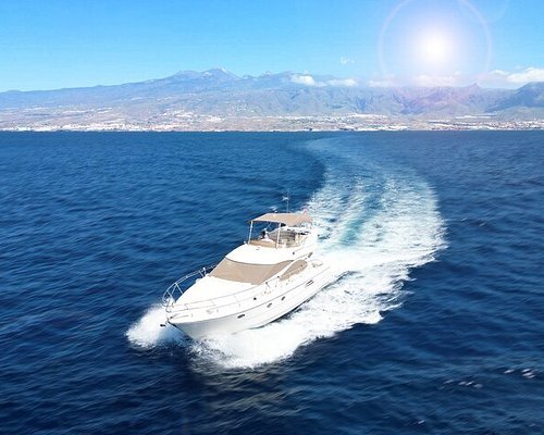 maxicat catamaran rc boat