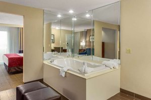 Room & Suite