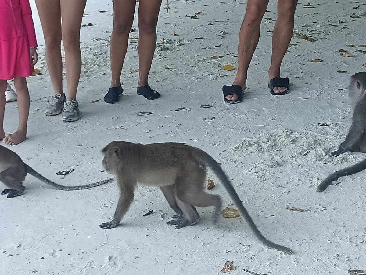 Phuket King Star Marine Tour, Пхукет: лучшие советы перед посещением -  Tripadvisor