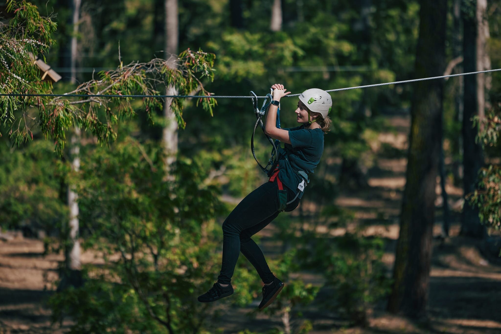 THE 10 BEST Australia Zipline Aerial Adventure Parks 2024   Forest Adventures 