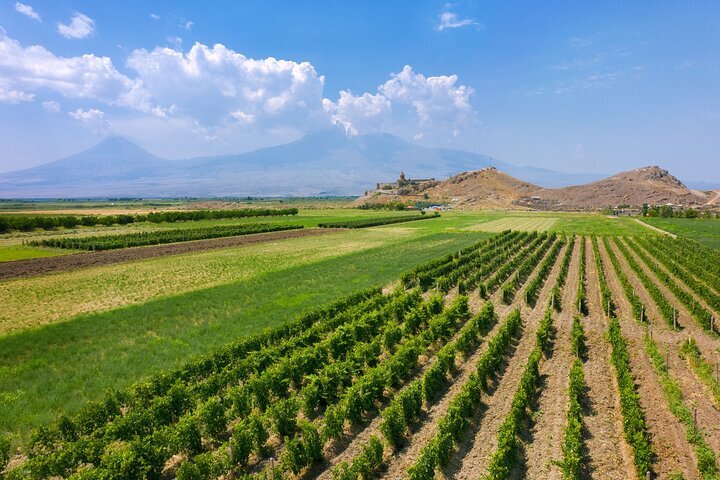 2024 (Yerevan) Private Areni Winery And Noravank Day Tour From Yerevan