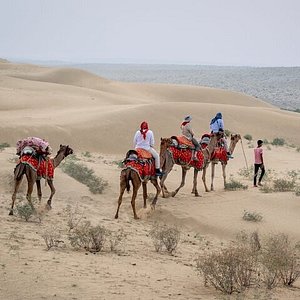 half day desert safari in jaisalmer