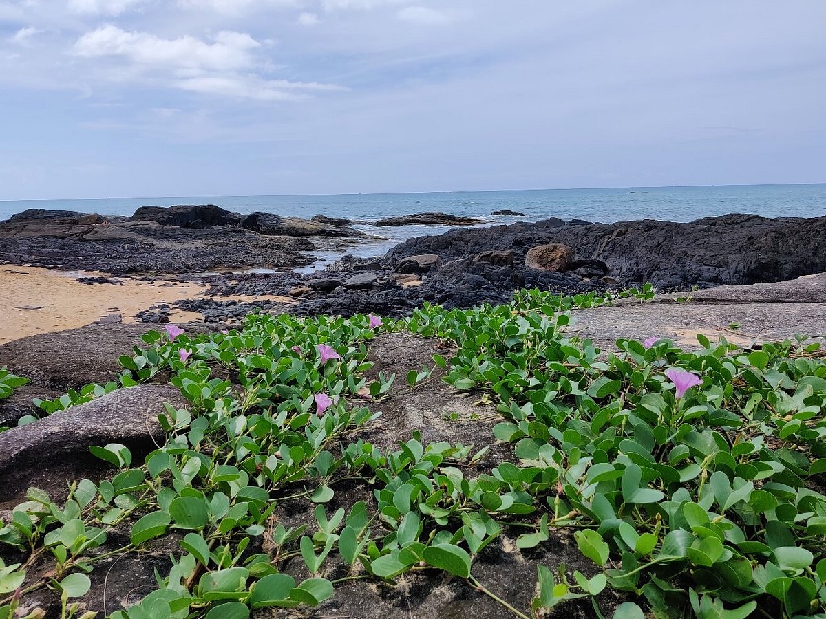 THE LEAF OCEANSIDE BY KATATHANI (Хук-Хак) - отзывы, фото и сравнение цен -  Tripadvisor