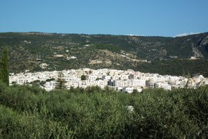 Oda ve Süit