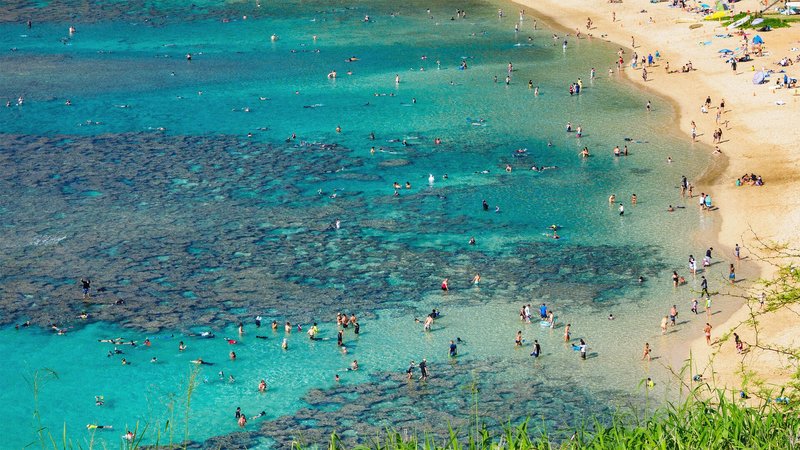 People snorkeling at Hanauma Bay