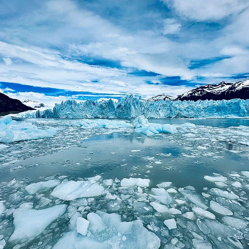 Pato de Pesca Iceberg  JUGUETES Y DEPORTES SEVILLA