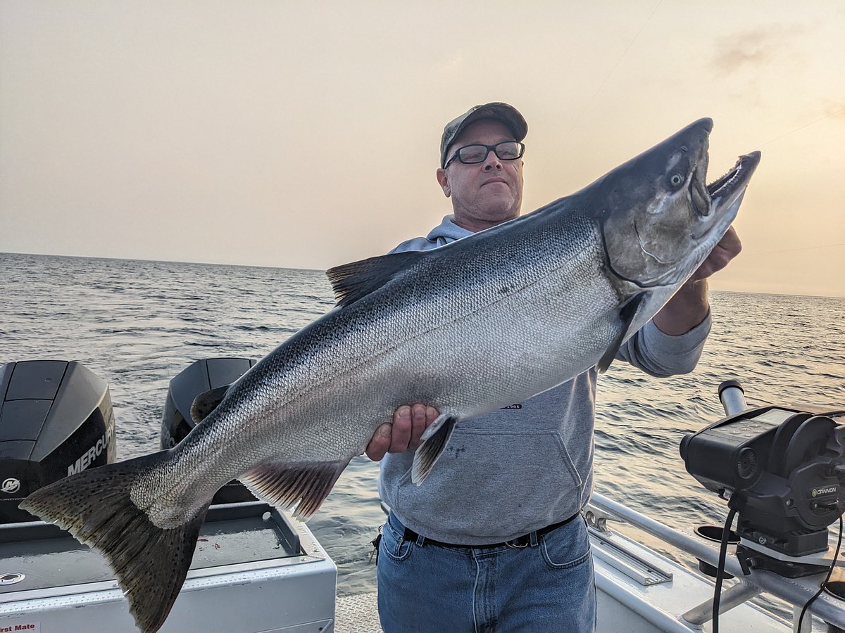 Charter Fishing Leland Michigan FishBilly Charters - Salmon Fishing Charter  Fishing Lake Michigan Leland Michigan