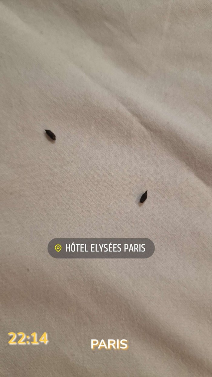 Imagen 4 de Hotel Elysees Paris