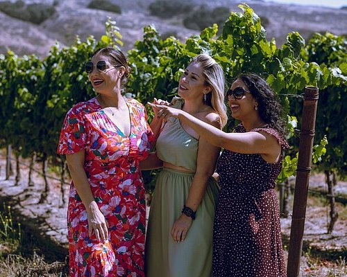 wine tasting tours in santa barbara