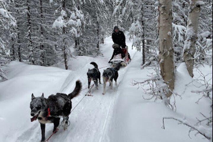 アラスカ州のツアー ベスト10 - トリップアドバイザー