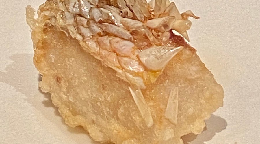 Tempura Ginya image 4 - Full view