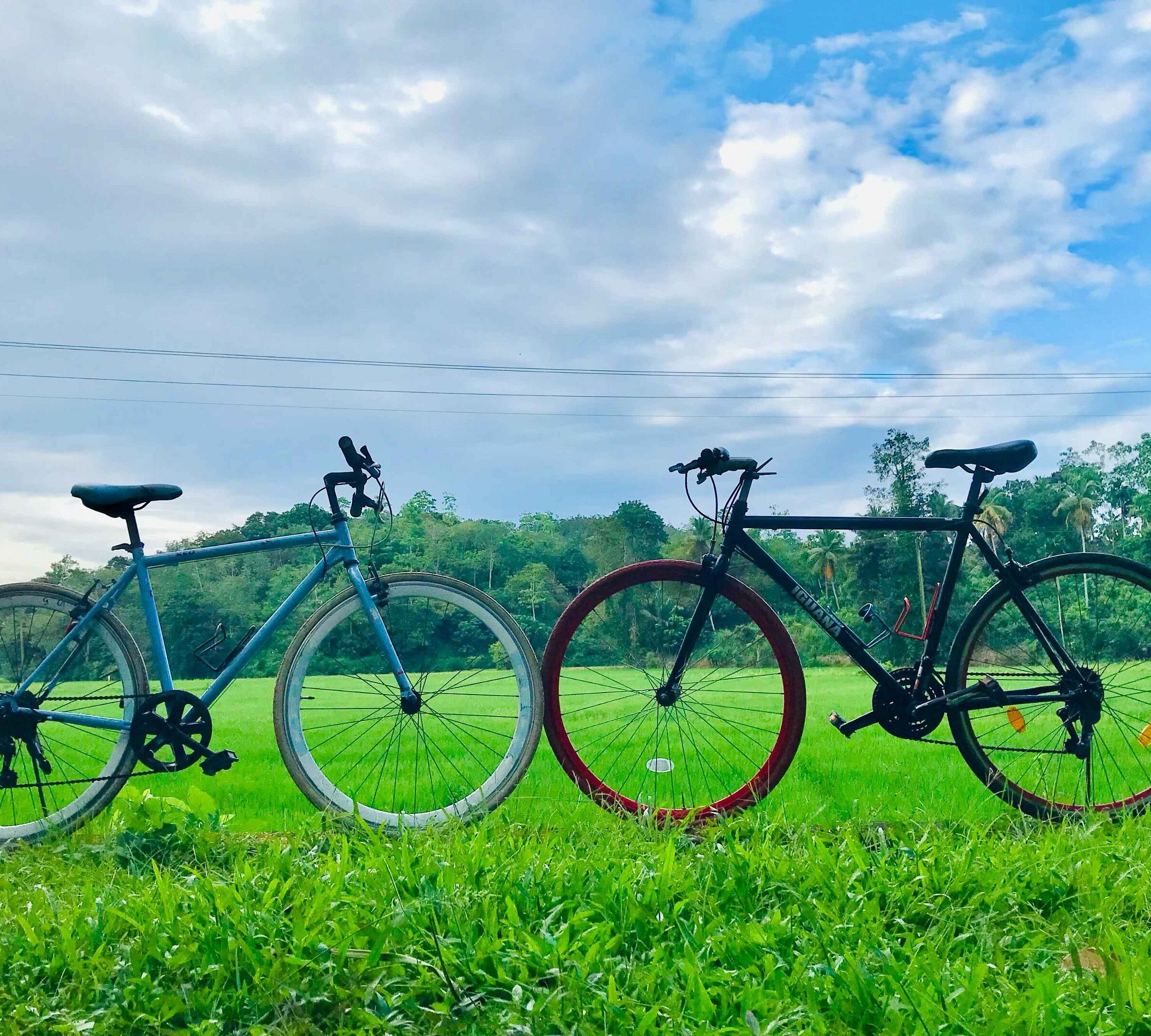 Bike Travel Weligama Sri Lanka Hours Address Tripadvisor bike-travel-weligama-sri-lanka-hours-address-tripadvisor