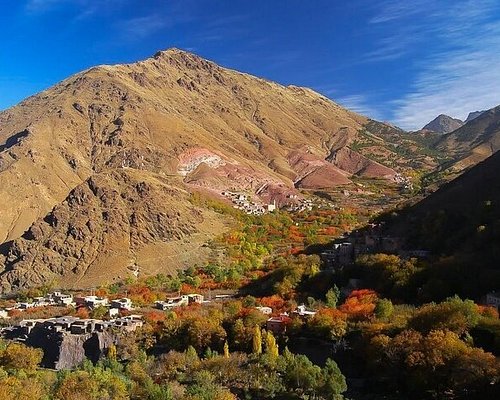 Discover the Best Excursions in Marrakech for an Unforgettable Adventure - Nature and Landscapes Exploration