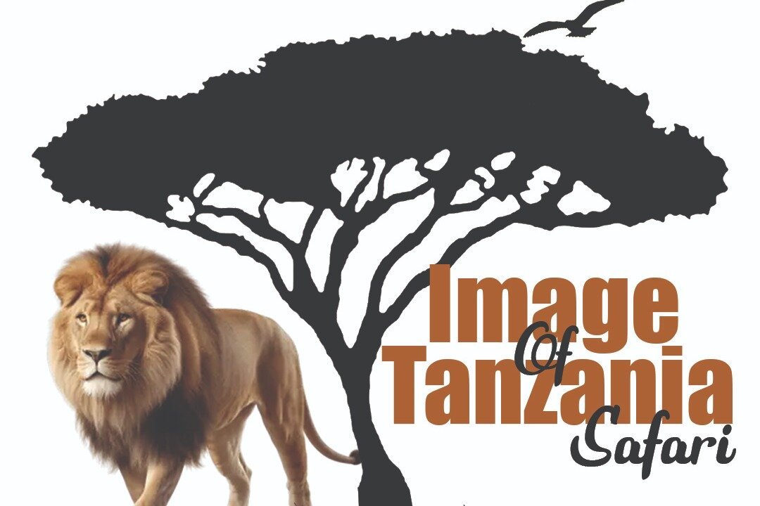 Image Of Tanzania Safaris Arusha Hours Address Tripadvisor 5035