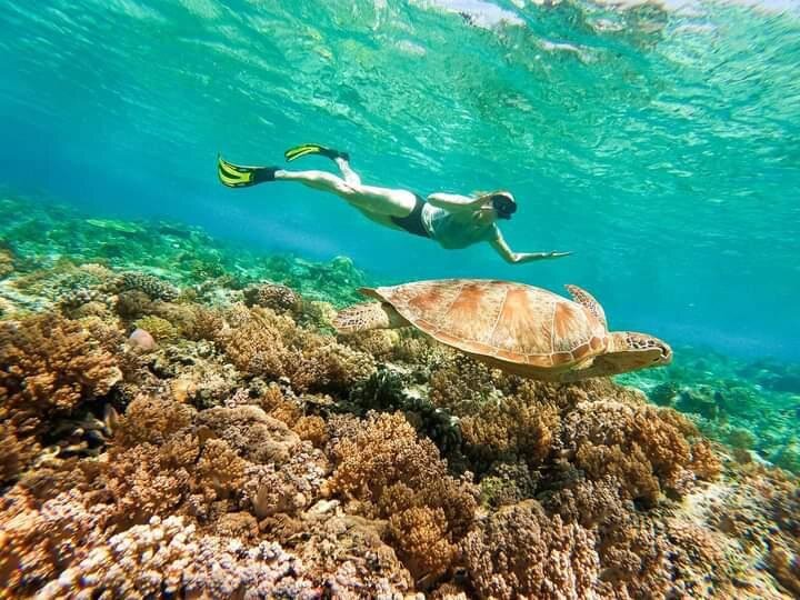 Gili Snorkeling Tour (Gili Air, Indonesia): Address, Phone Number ...