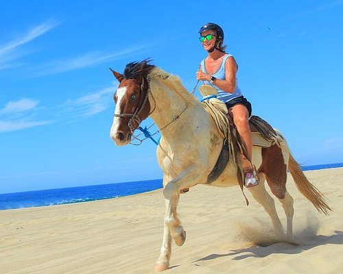 BOARDWALK CABO PANT