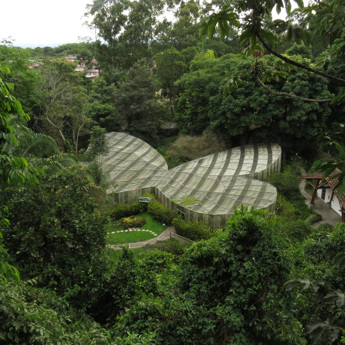 Jardín Botánico del Quindío - All You Need to Know BEFORE You Go (2024)