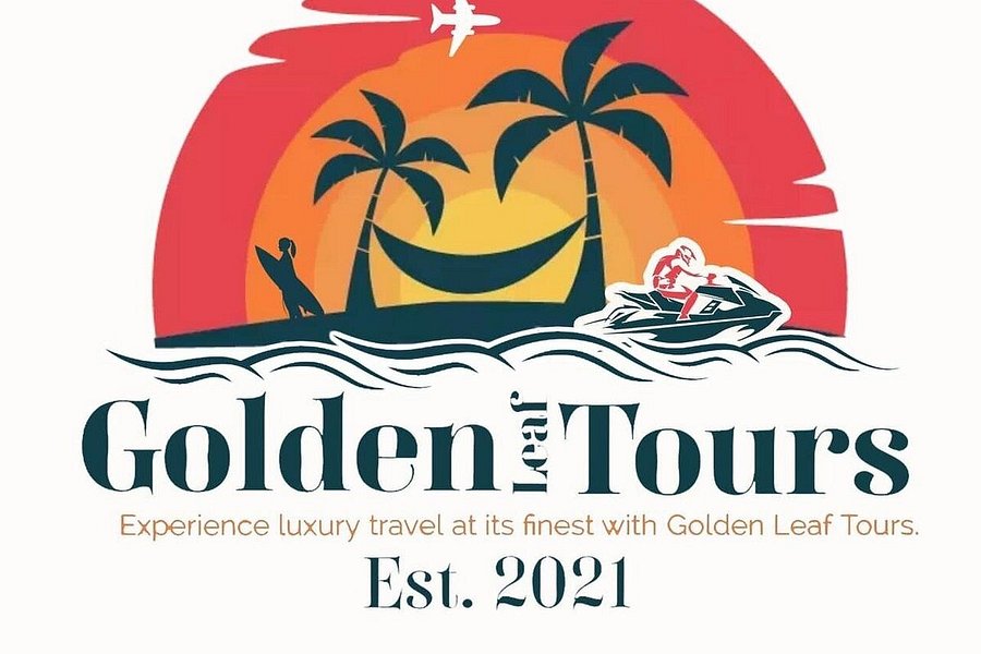 golden bay tours