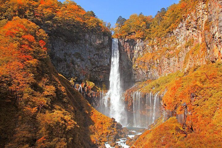 THE 10 BEST Nikko Bus Tours (with Prices) - Tripadvisor