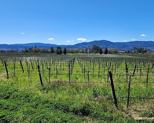 sonoma valley tours from san francisco