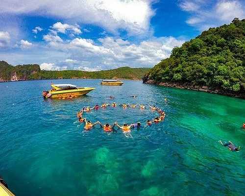 phi phi island tour operators