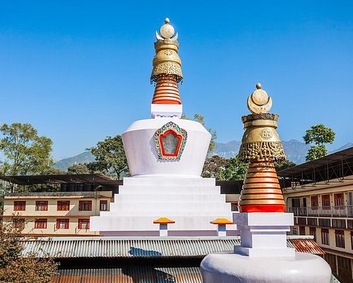 best travel agents for north sikkim