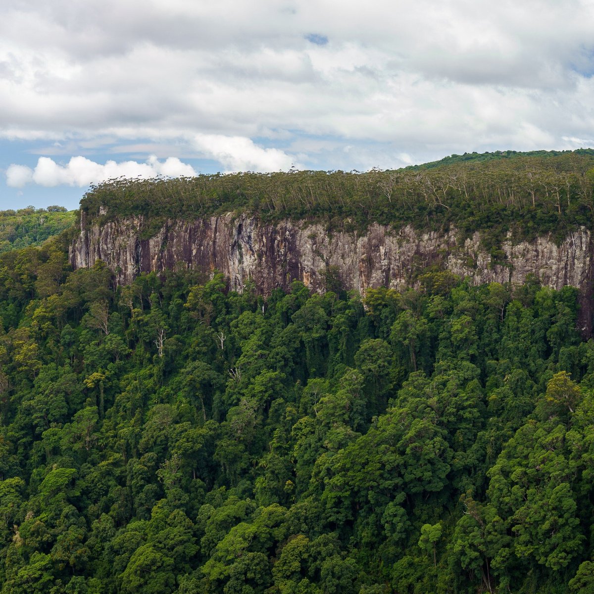 Springbrook National Park SelfGuided Driving Tour (Australia): Address ...