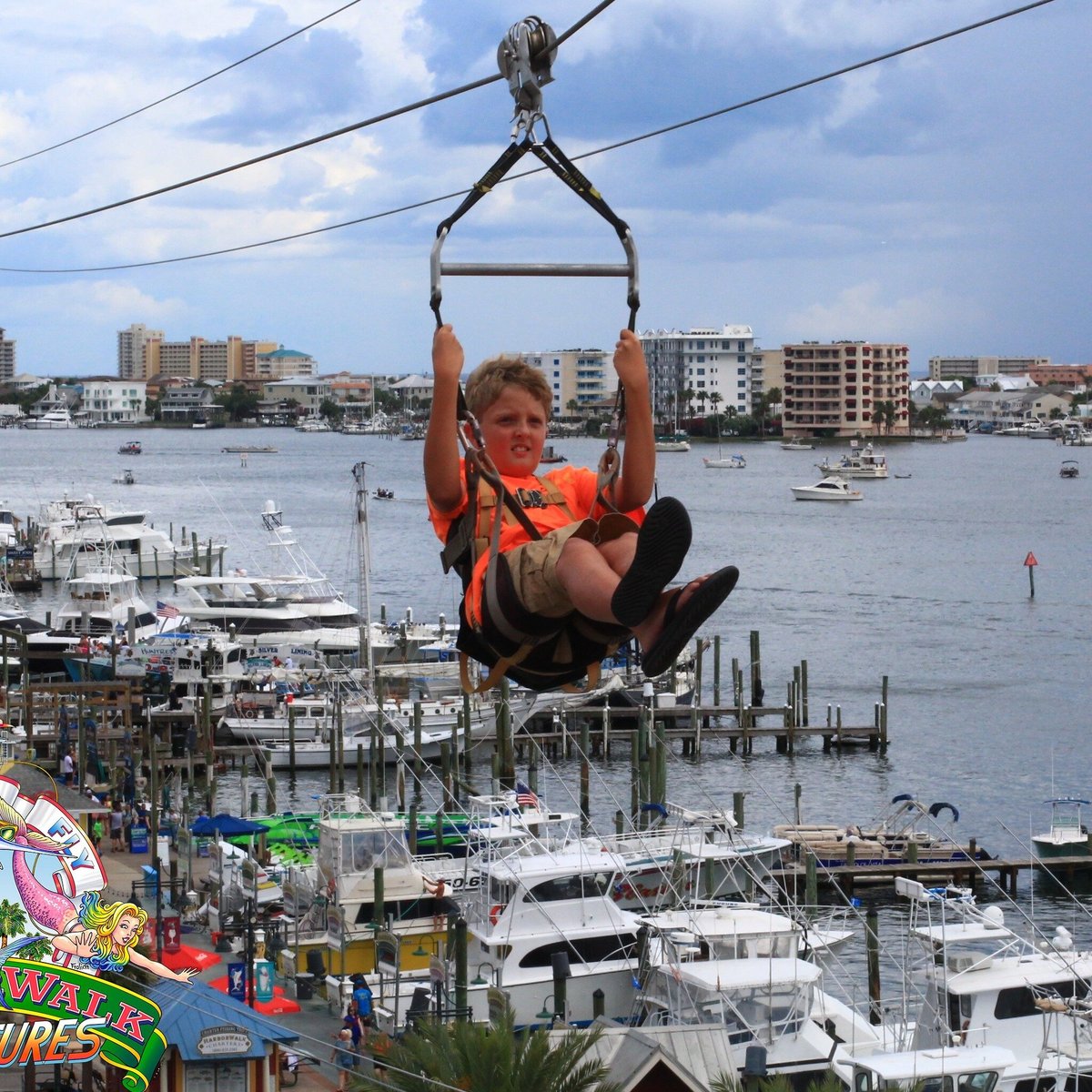 2024年 HarborWalk Adventures 行く前に！見どころをチェック トリップアドバイザー