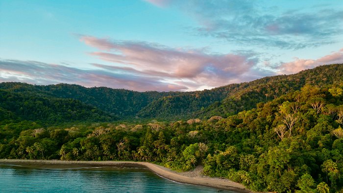 Golfo Dulce Retreat - UPDATED 2024 Reviews & Photos (Costa Rica/Golfito) -  Resort - Tripadvisor