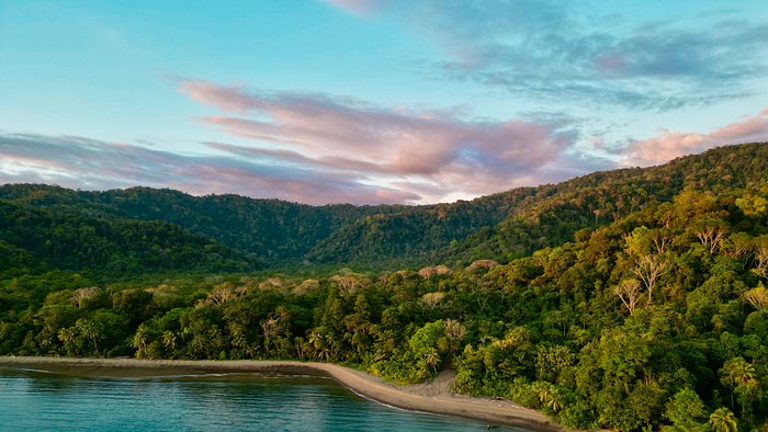 Eco Oasis Nature Retreat Wonders