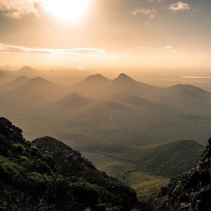 Springtime on the Mt. Melville Circuit Trail, Albany, Western