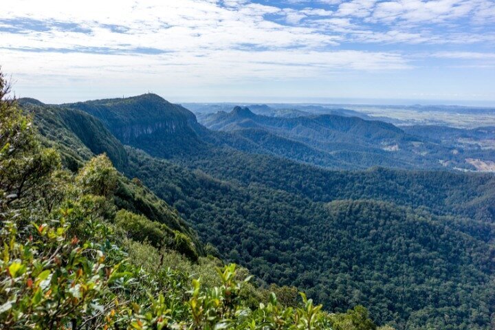 2024 Spring Brook National Park Self Guided Driving Tour (Springbrook)